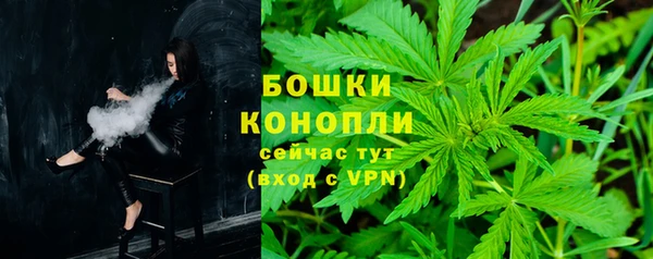 мдпв Кинешма